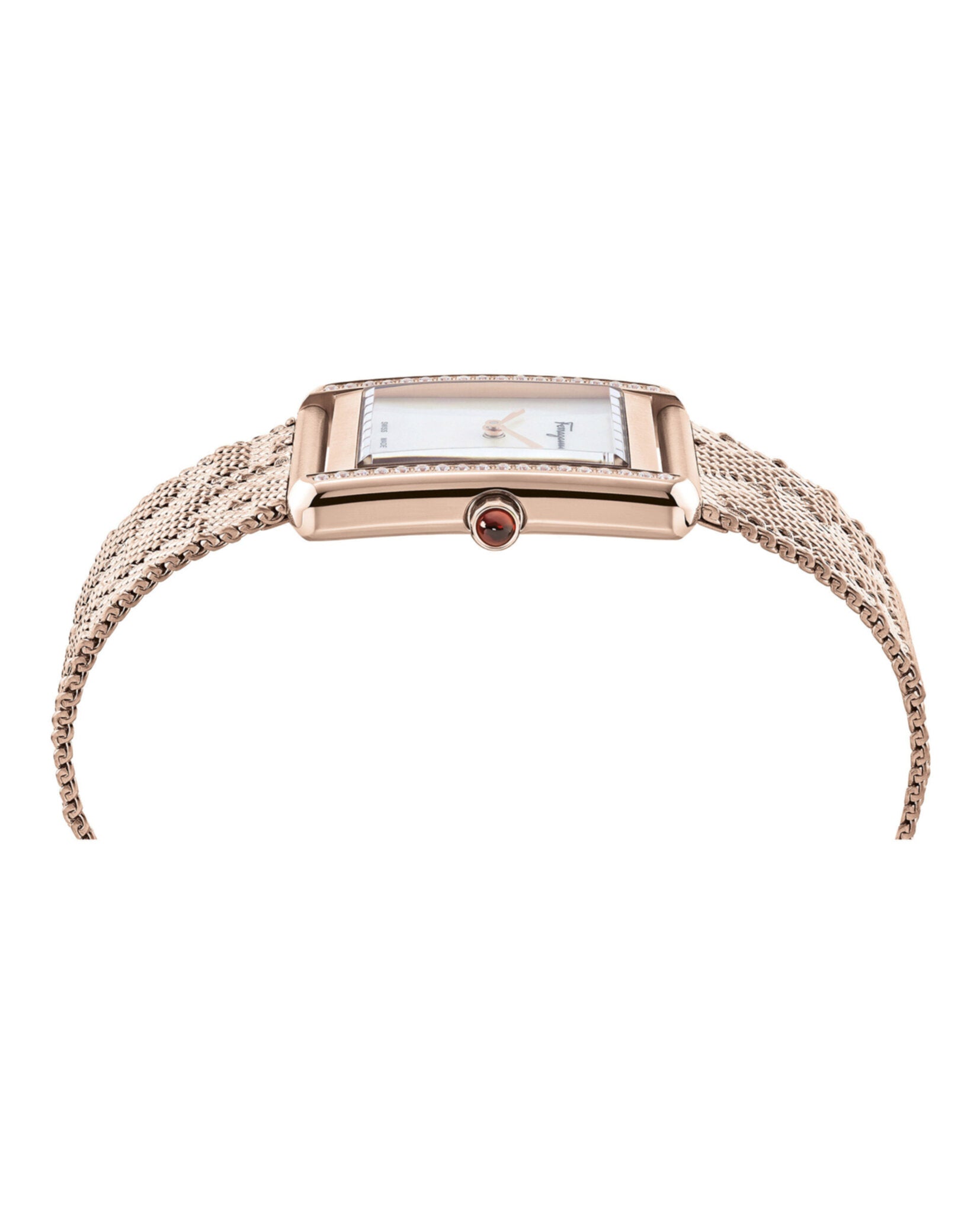 Ferragamo Portrait Mesh Watch