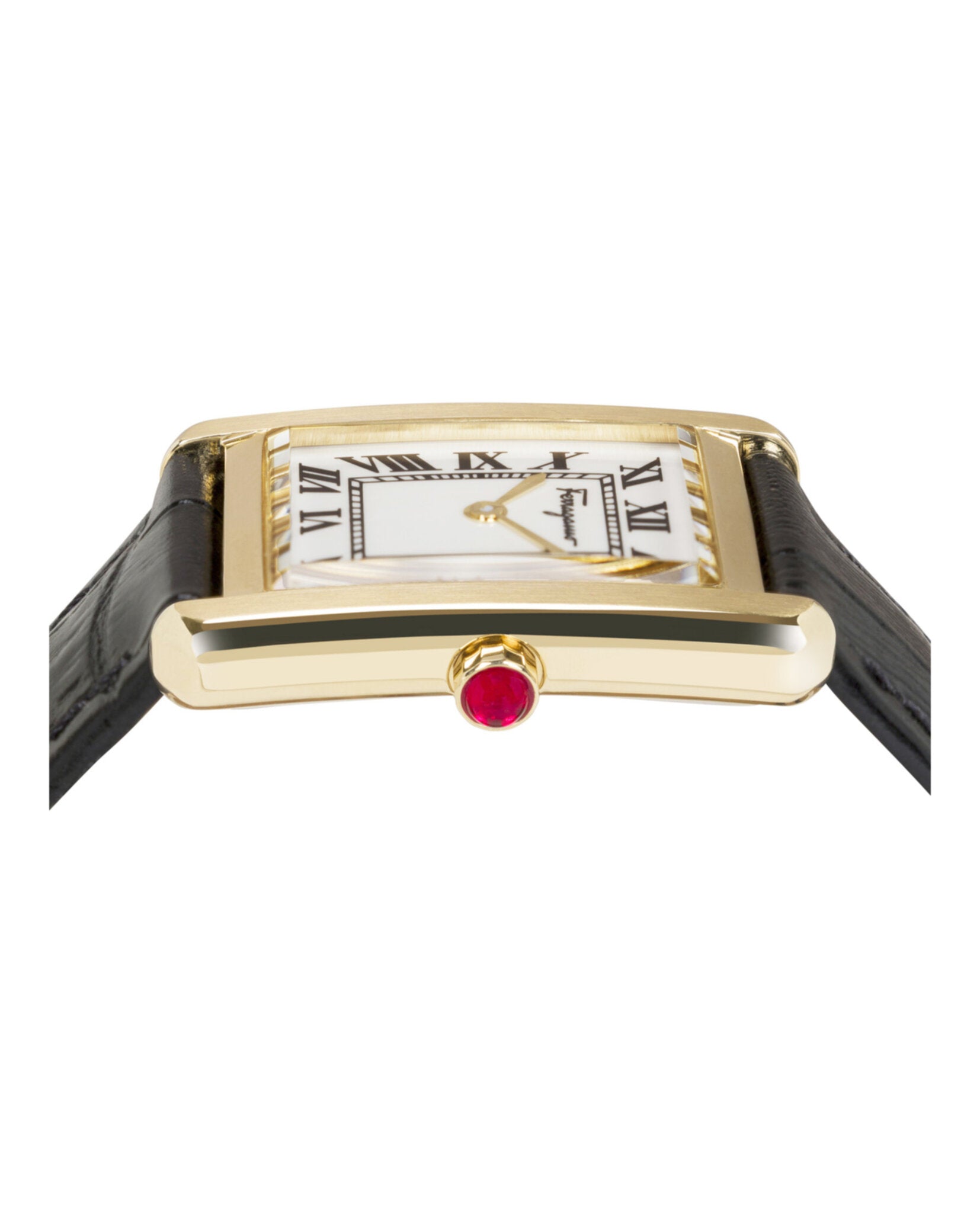 Ferragamo Portrait Leather Watch