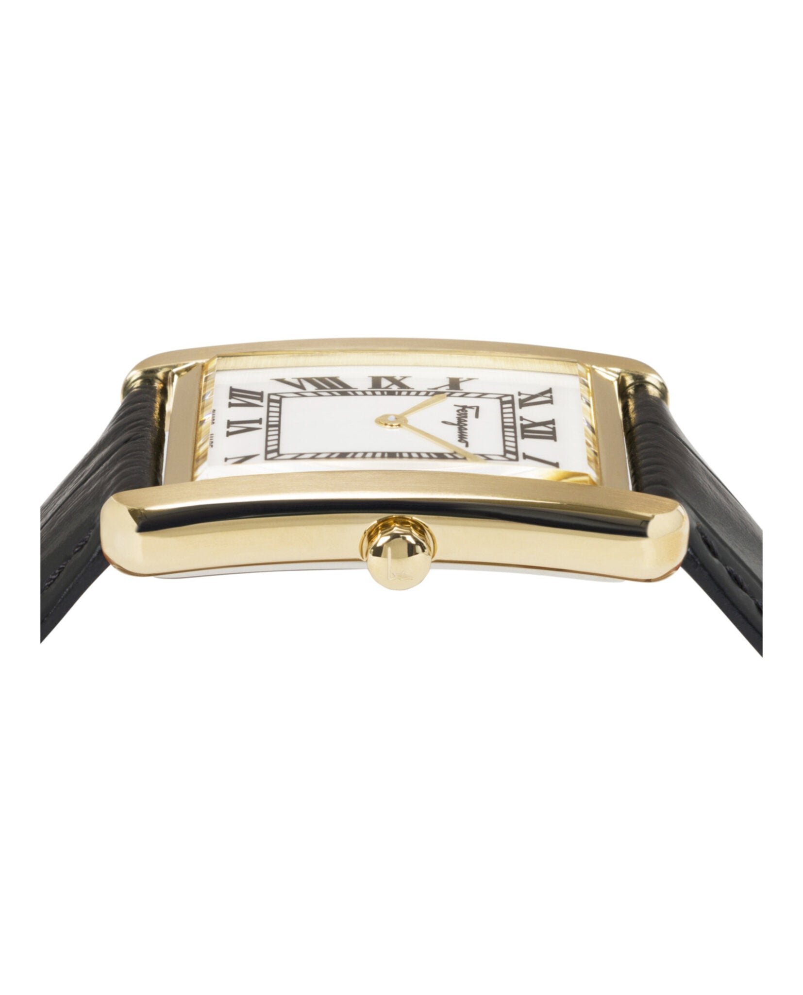 Ferragamo Portrait Leather Watch