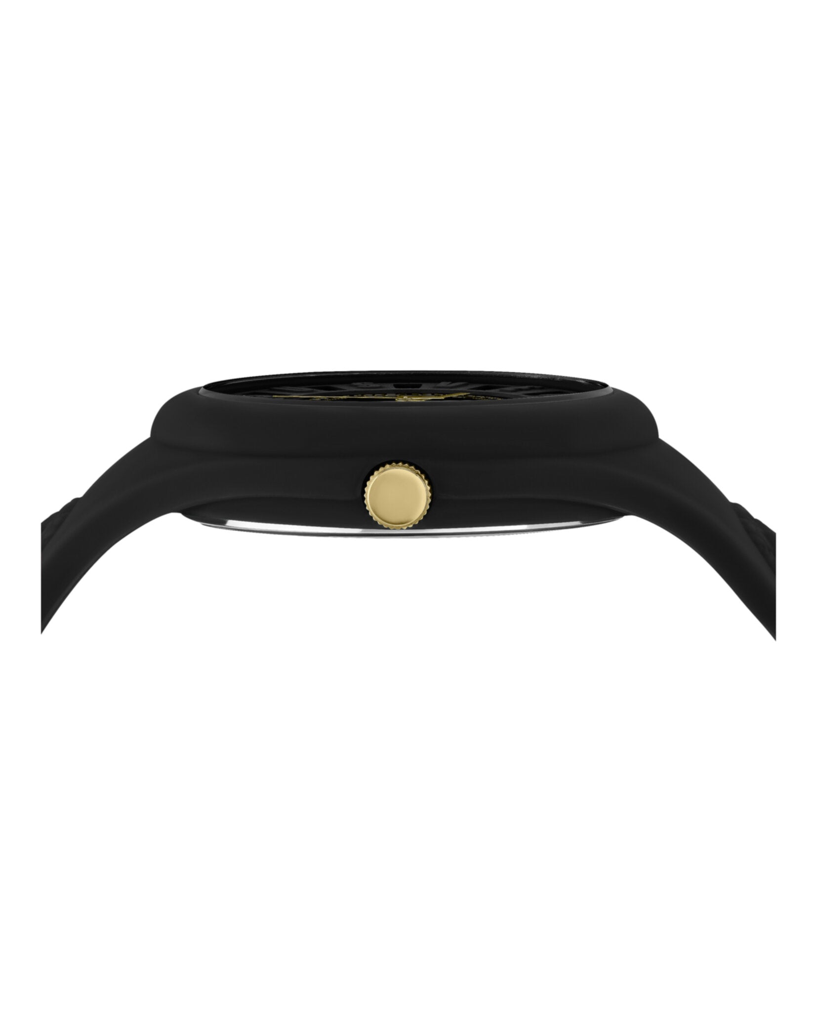 Fire Island Strap Watch