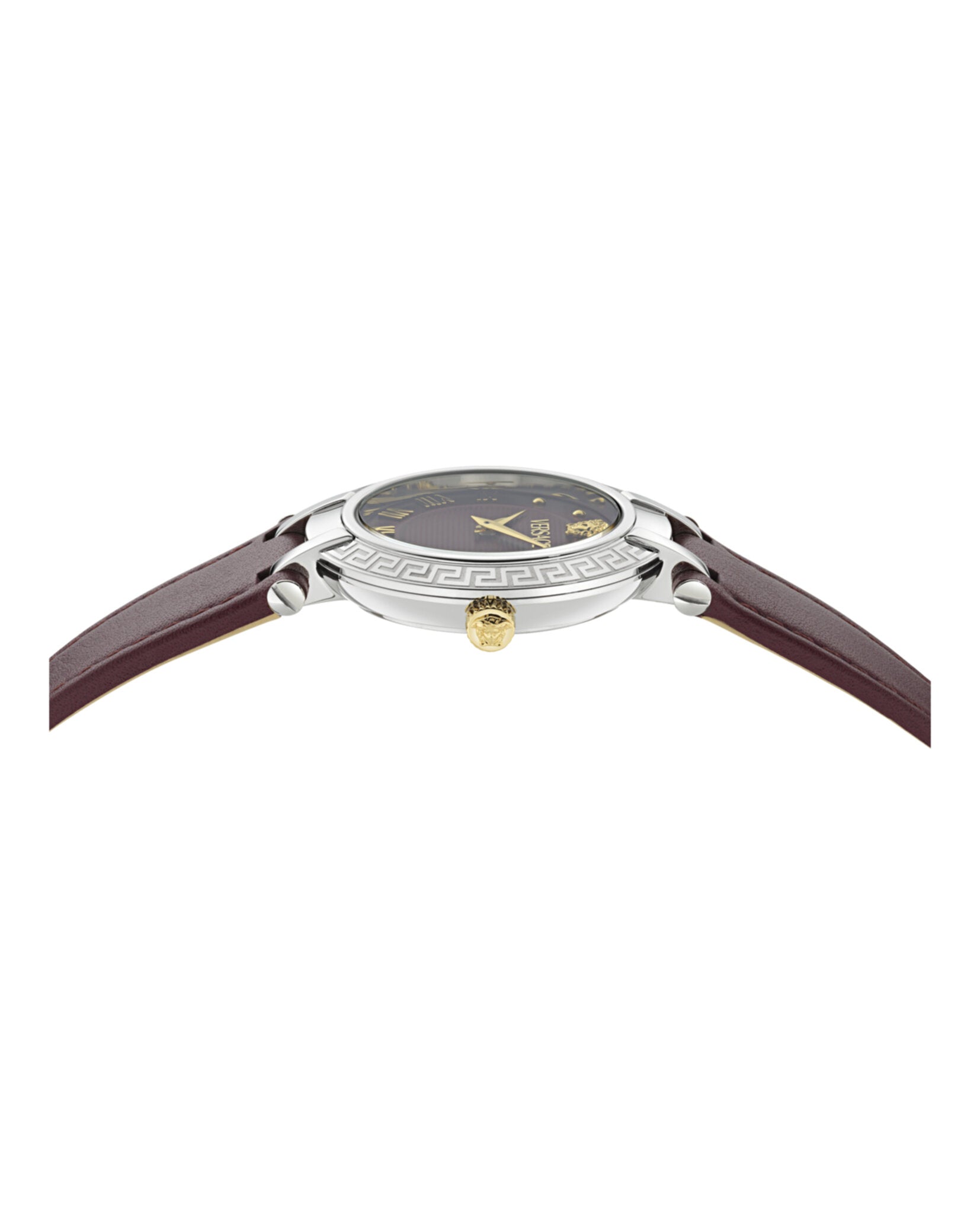 Antlia Leather Watch