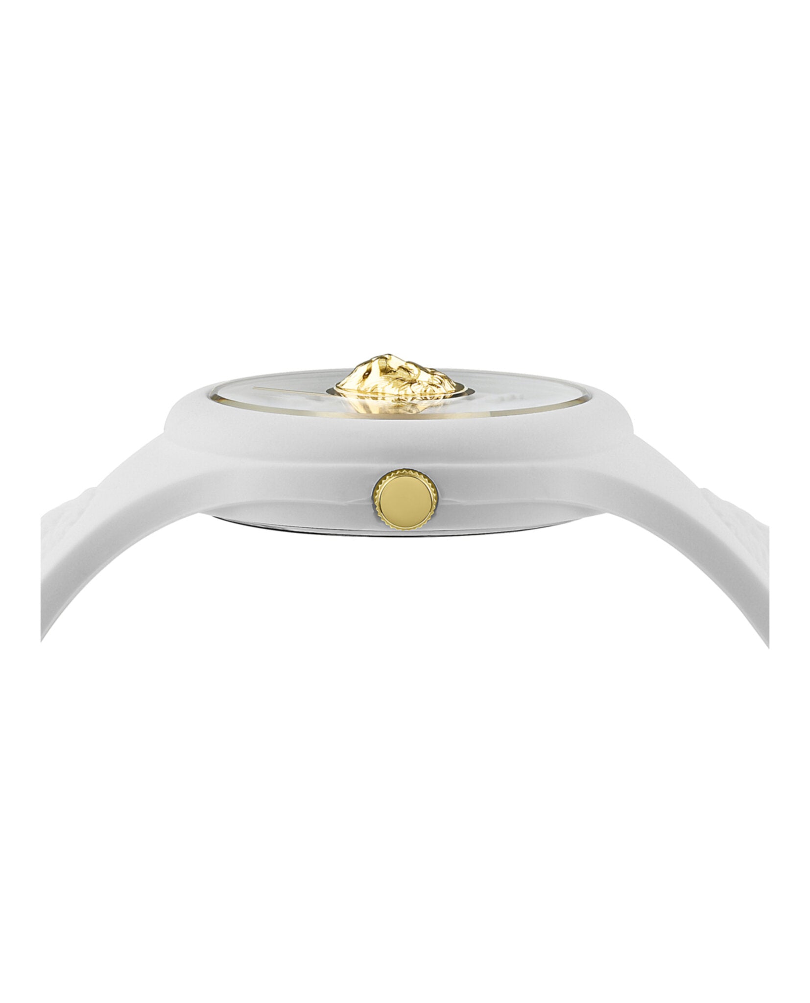Fire Island Lion Strap Watch