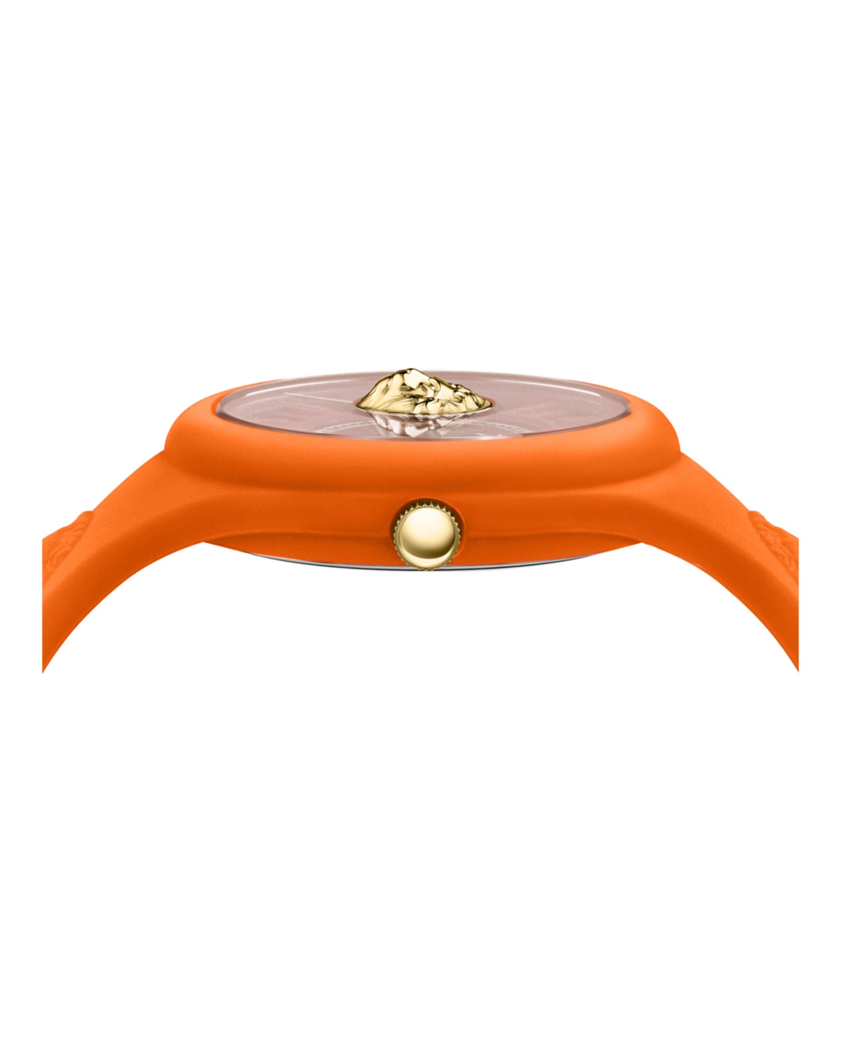 Fire Island Lion Strap Watch