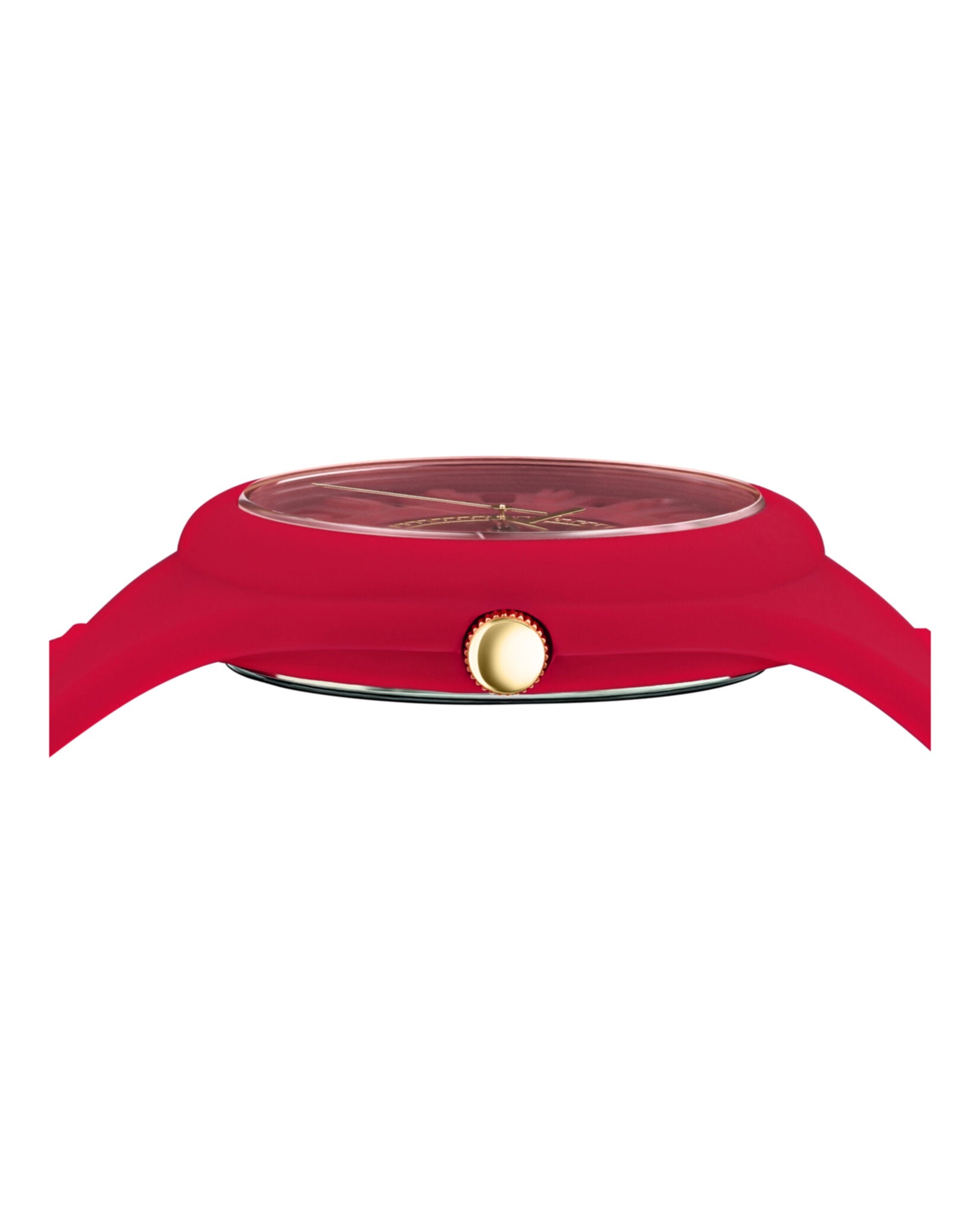 Fire Island Strap Watch